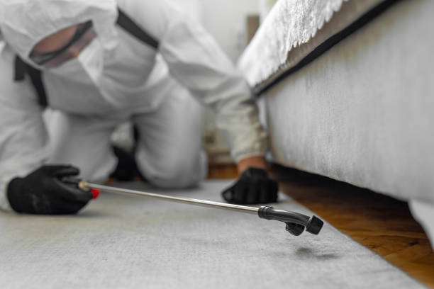 Professional Termite Control technician working in Furnas County County, NE